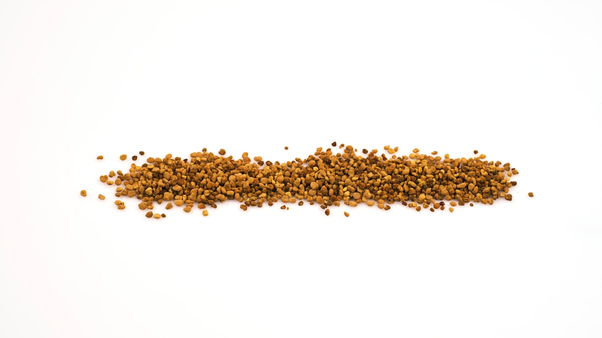 Arándanos antioxidantes
